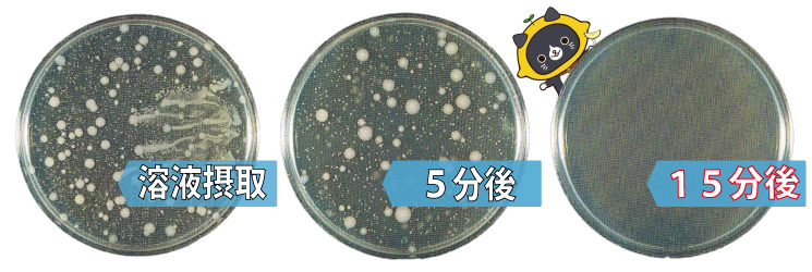 きれいッ粉の大腸菌O111に対する除菌効果