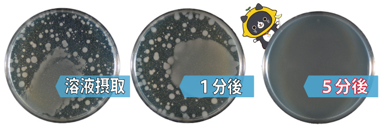 きれいッ粉の大腸菌に対する除菌効果