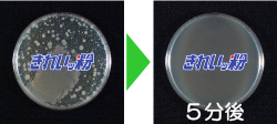 ここまで安全な洗剤なのに除菌力はあります!