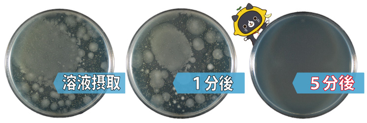 きれいッ粉のサルモネラ菌に対する除菌効果