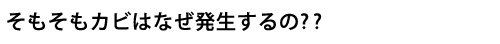 そもそもカビはなぜ発生するの？