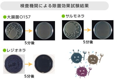 きれいッ粉の除菌効果試験結果